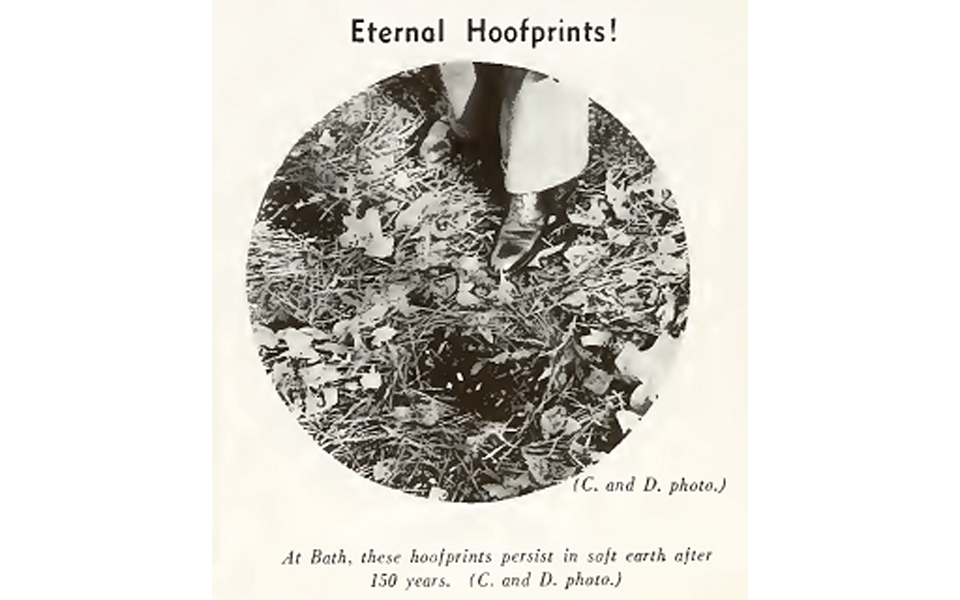 the Bath Hoofprints