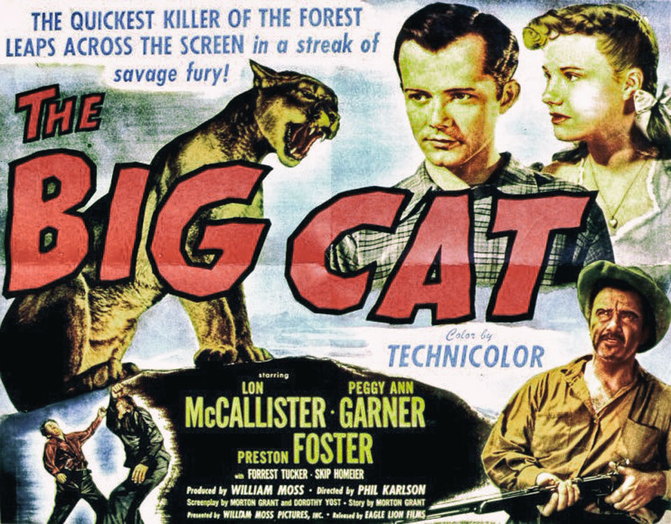 The Big Cat