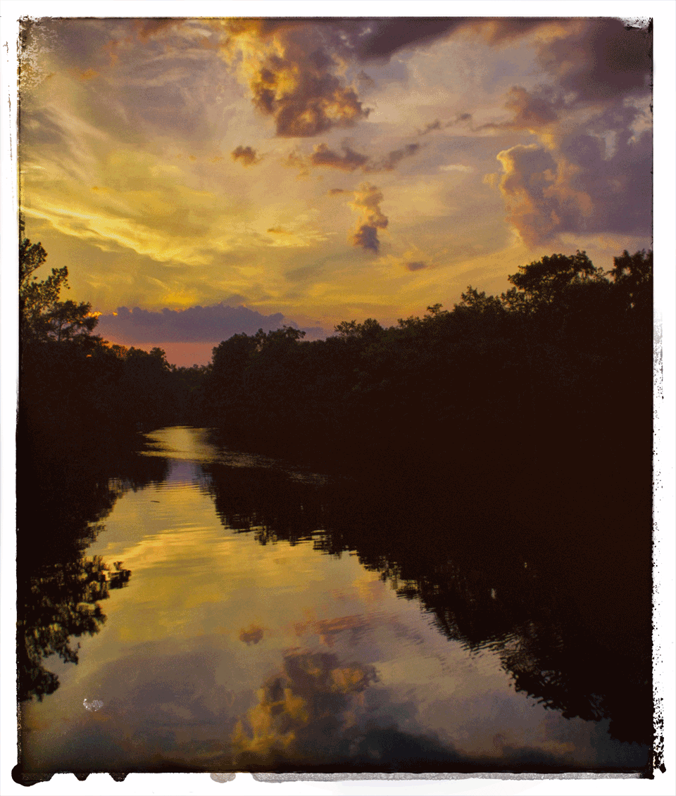 The swamps near Bladenboro, NC