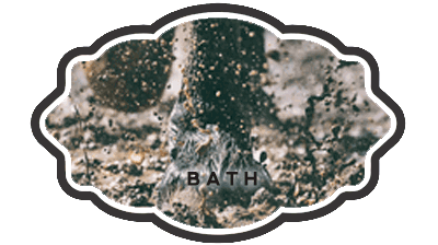 The Legend of the Bath Hoofprints
