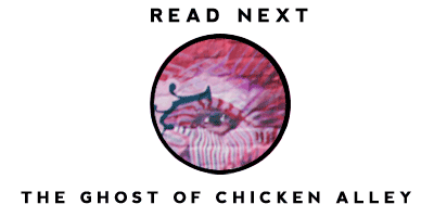 Read the story of the Ghost of Chicken Alley