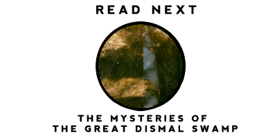 Read the story of the Mysteries of the Great Dismal Swamp