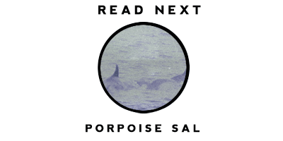 Read the story of Porpoise Sal