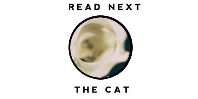 Read the story of the Cat