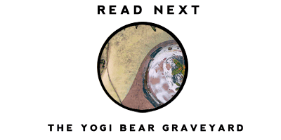 Read the story of the Yogi Bear Graveyard