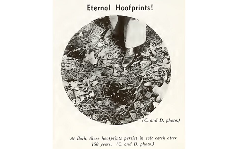 A 1927 image of the Bath Hooprints from North Carolina Today magazine. Image From the North Carolina Department of Conservation and Development.