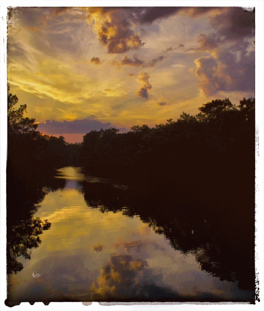 The dark swamps nestled between the tributaries of the Cape Fear River near Bladenboro, where the Beast of Bladenboro was said to have hidden.