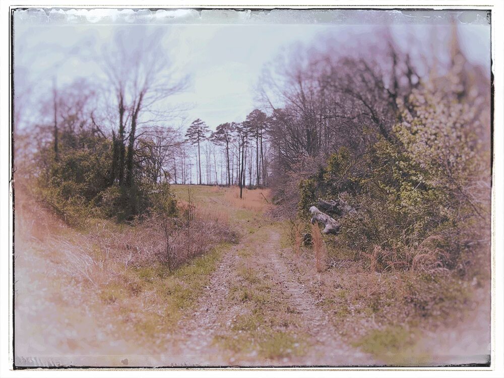 The path leading up to the empty field called Crybaby Lane, as it looked in 2003.