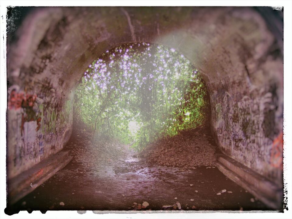 A view from inside the overgrown underpass called Lydia's Bridge