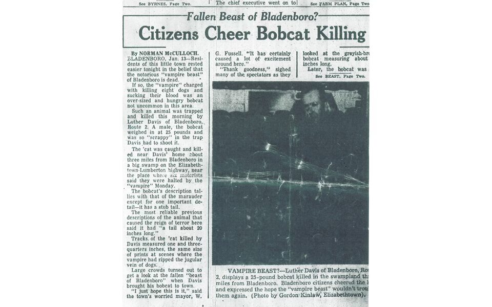 The article from the Raleigh News and Observer on the killing of the bobcat.