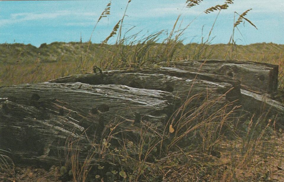 A vintage postcard showing the remains of a shipwreck along the outer banks