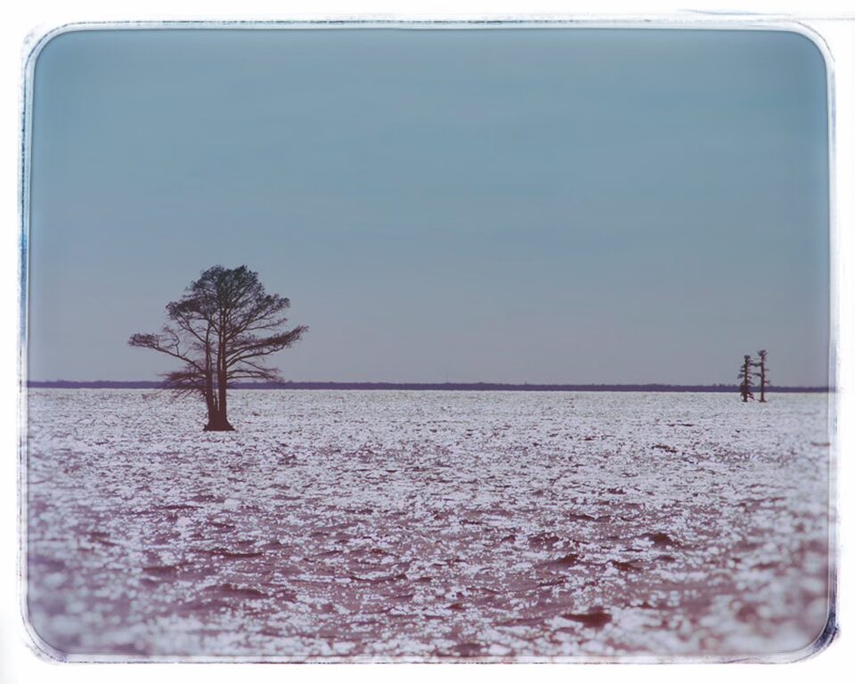 The Pasquotank River where it flows by Elizabeth City.